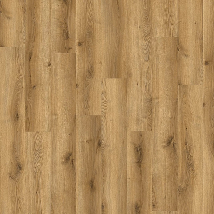 Traditional Oak 03826  по цене 6&nbsp;498.90 ₽