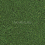 IVC Semi Contrast Vision Grass T25  по цене 56&nbsp;250 ₽