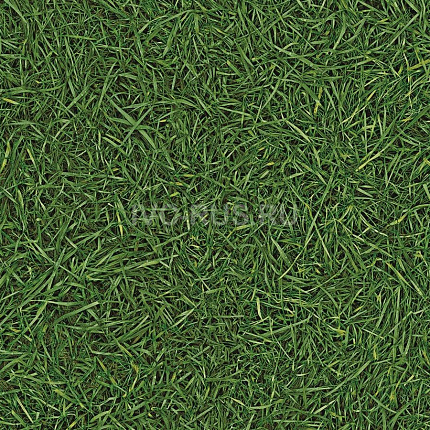 IVC Semi Contrast Vision Grass T25  по цене 56&nbsp;250 ₽