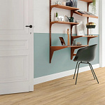 Sebastian Oak 05325  по цене 7&nbsp;204.60 ₽