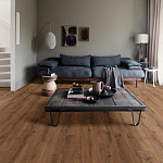 European Oak 04870  по цене 6&nbsp;498.90 ₽